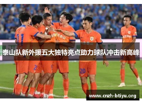 泰山队新外援五大独特亮点助力球队冲击新高峰