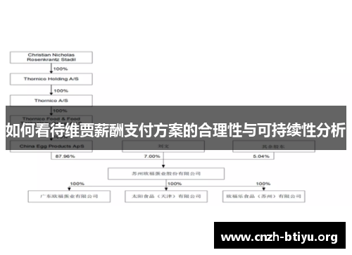 如何看待维贾薪酬支付方案的合理性与可持续性分析