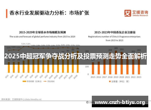 2025中超冠军争夺战分析及投票预测走势全面解析
