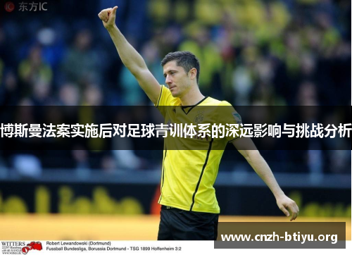 博斯曼法案实施后对足球青训体系的深远影响与挑战分析