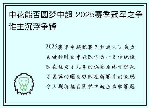 申花能否圆梦中超 2025赛季冠军之争谁主沉浮争锋