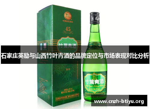 石家庄英励与山西竹叶青酒的品牌定位与市场表现对比分析