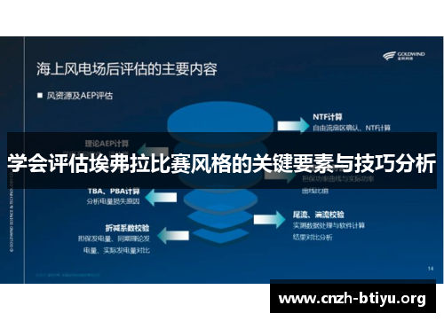 学会评估埃弗拉比赛风格的关键要素与技巧分析